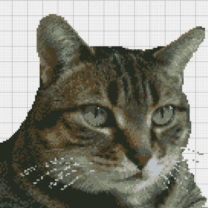 Tabby Cat 1 Kitten Complete Counted Cross Stitch Kit  12.5" x 12.5" 11 count