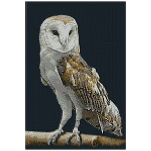 Barn Owl 3 Bird Counted Cross Stitch Kit
