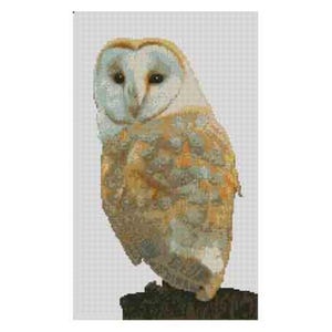 Barn Owl  Bird Counted Cross Stitch Kit 15&quot; x 9&quot; Aida 14 Count