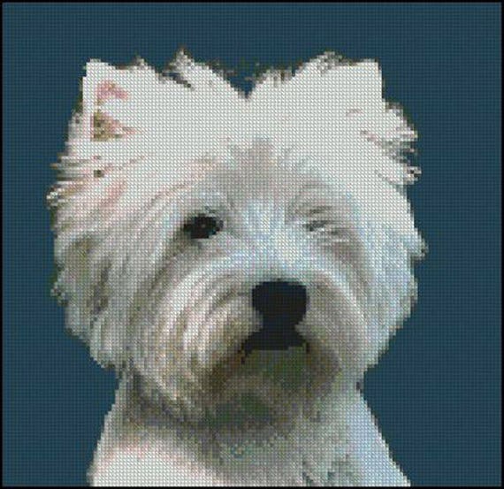 west highland terrier cross