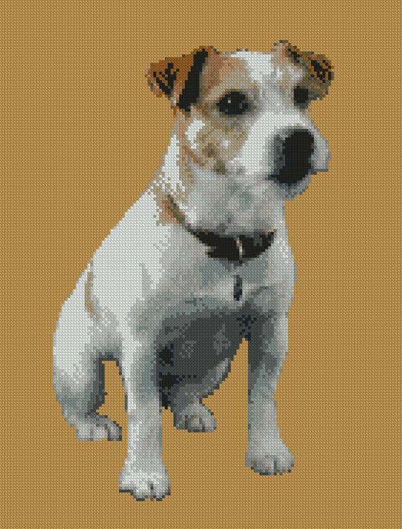 Jack Russell Dog Puppy Counted Cross Stitch Kit 10 X Etsy