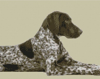 can a german shorthaired pointer and a aidi be friends