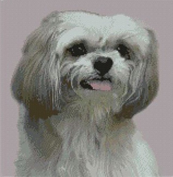 Maltese Terrier Puppy Dog Counted Cross Stitch Kit 11/" x 10/"
