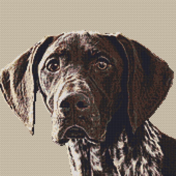 German Shorthaired Pointer Dog Puppy Counted Cross Stitch Kit 12" x 14" 30cm x 35cm 14 count