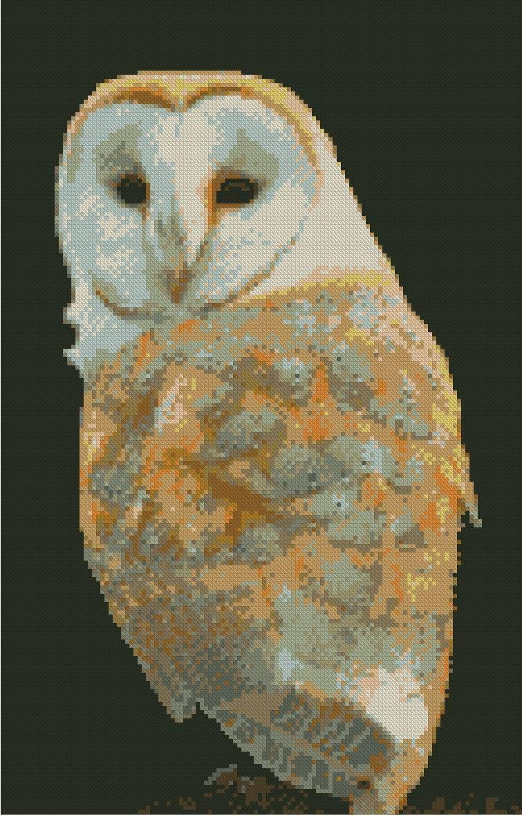 Barn Owl Counted Cross Stitch Kit 15" x 8.75"