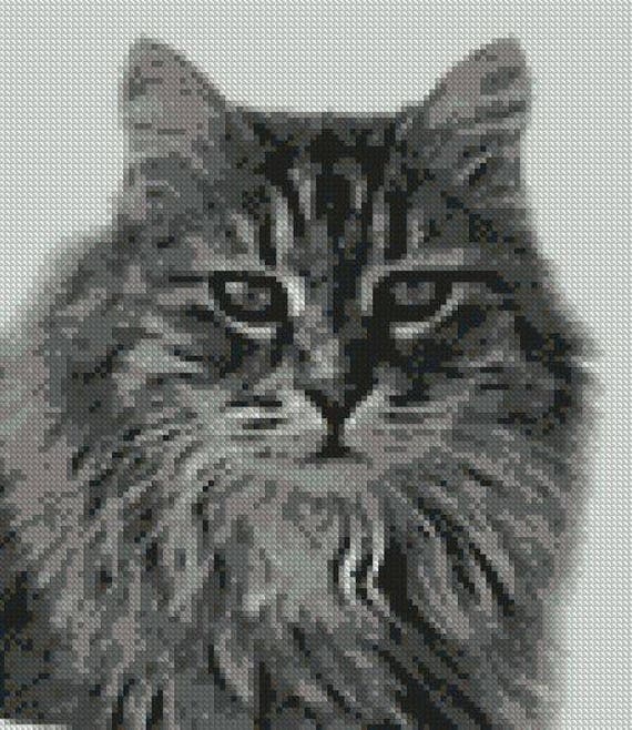 Grey Tabby Cat Long Haired Counted Cross Stitch Kit  - Etsy
