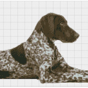 May include: A brown and white German Shorthaired Pointer dog is lying down on a white background. The dog is looking to the right of the image. A green tennis ball is on the right side of the image.