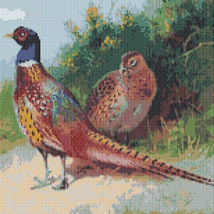 Pheasants Game Bird Complete Counted Cross Stitch Kit 12" x 11" 14 Count