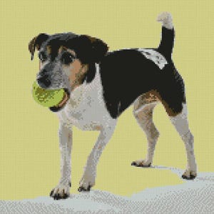 Jack Russell Terrier Dog Counted Cross Stitch Kit