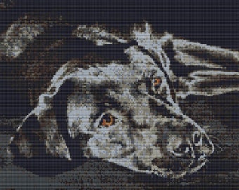 Black Labrador Dog Puppy Counted Cross Stitch Kit 14" x 10" 35.5cm x 25.cm 14 ct