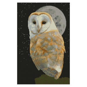 Barn Owl Night Sky Counted Cross Stitch Kit 20&quot; x 13&quot; 11 Count
