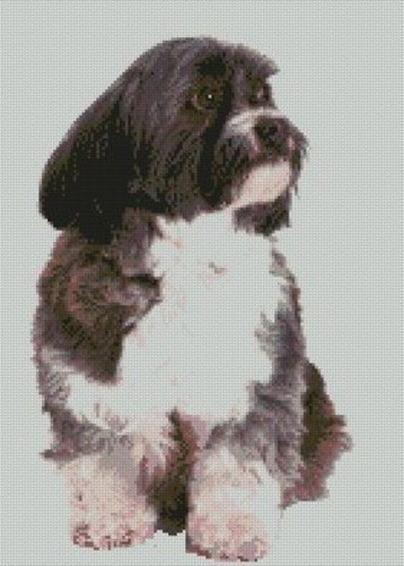 Maltese Terrier Puppy Dog Counted Cross Stitch Kit 11/" x 10/"