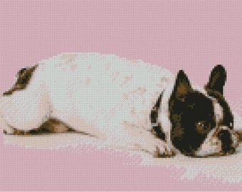 French Bulldog Counted Cross Stitch Kit