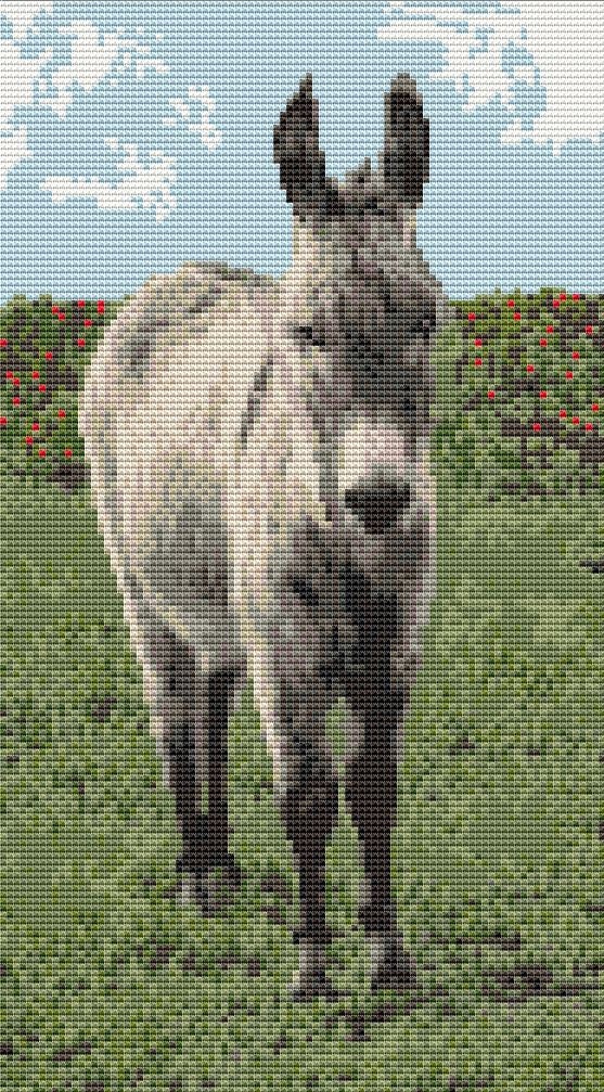 Donkey Ass Counted Cross Stitch Kit 12 X 6.75 Etsy