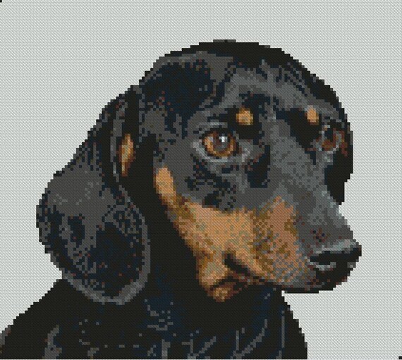Dachshund Puppy Sausage Dog 10 X 9 Counted Cross Etsy