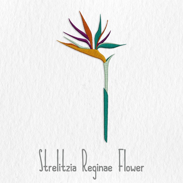 Bird of Paradise Flower Embroidery Etsy