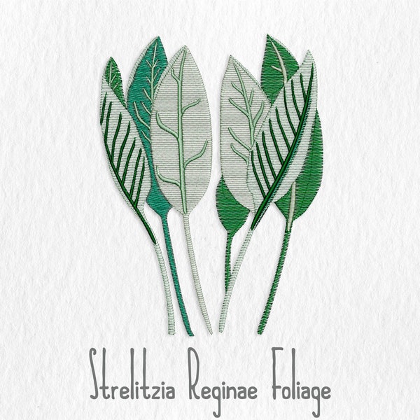 Strelitzia Reginae Foliage - Bird of Paradise - Digital Embroidery File - Botanical Embroidery Design - Plant Embroidery - Flower Embroidery