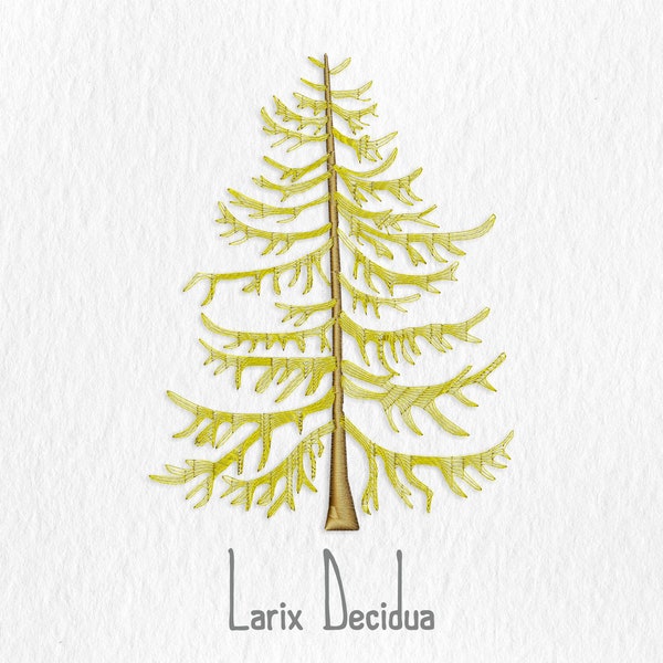 Larix Decidua - Larch Digital Embroidery File - Botanical Embroidery Design - Plant Embroidery - Tree Embroidery - European Larch Embroidery