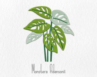 Monstera Adansonii Embroidery - Digital Embroidery File - Botanical Embroidery - Plant Embroidery - Ornamental Plant - Monstera Embroidery