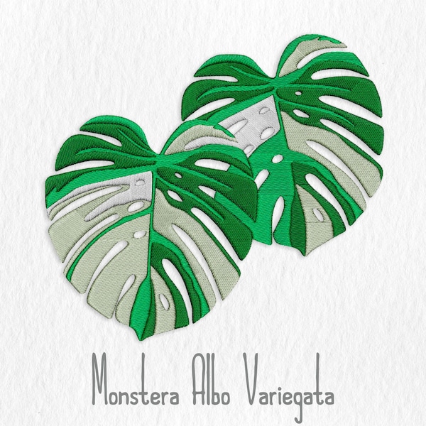 Monstera Albo Variegata Embroidery - Digital Embroidery File - Botanical Embroidery Design - Plant Embroidery - Ornamental Plant - Monstera