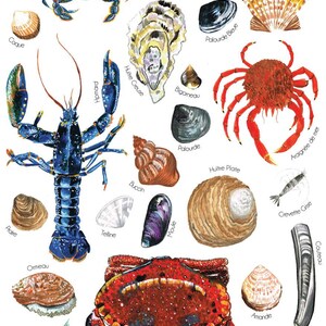 May include: An illustration of various types of seafood found in the ocean, including crabs, lobsters, clams, oysters, and shrimp. The illustration is labeled with the French names for each type of seafood. The text at the bottom of the illustration reads "P&ecirc;che &agrave; pied".