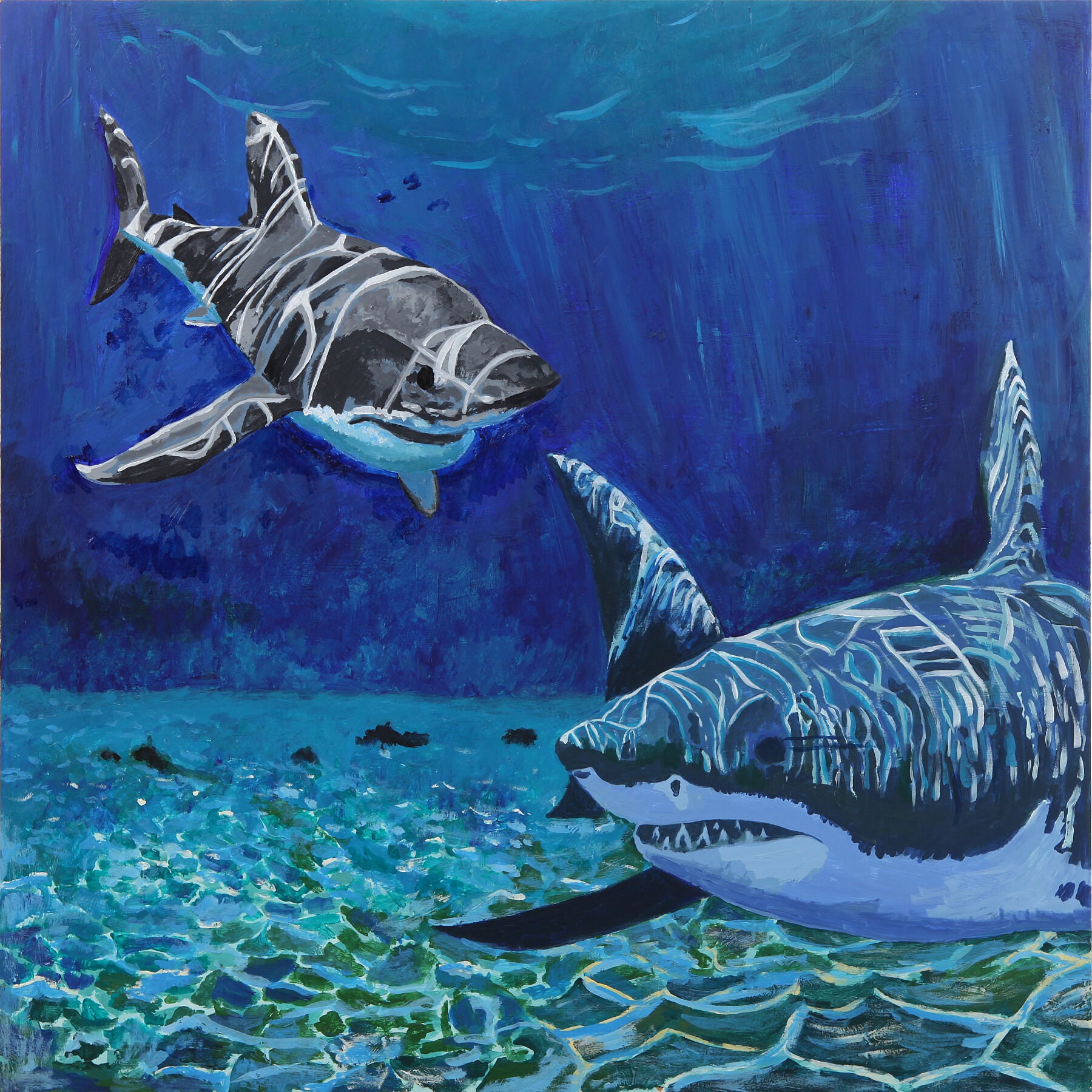 Requin