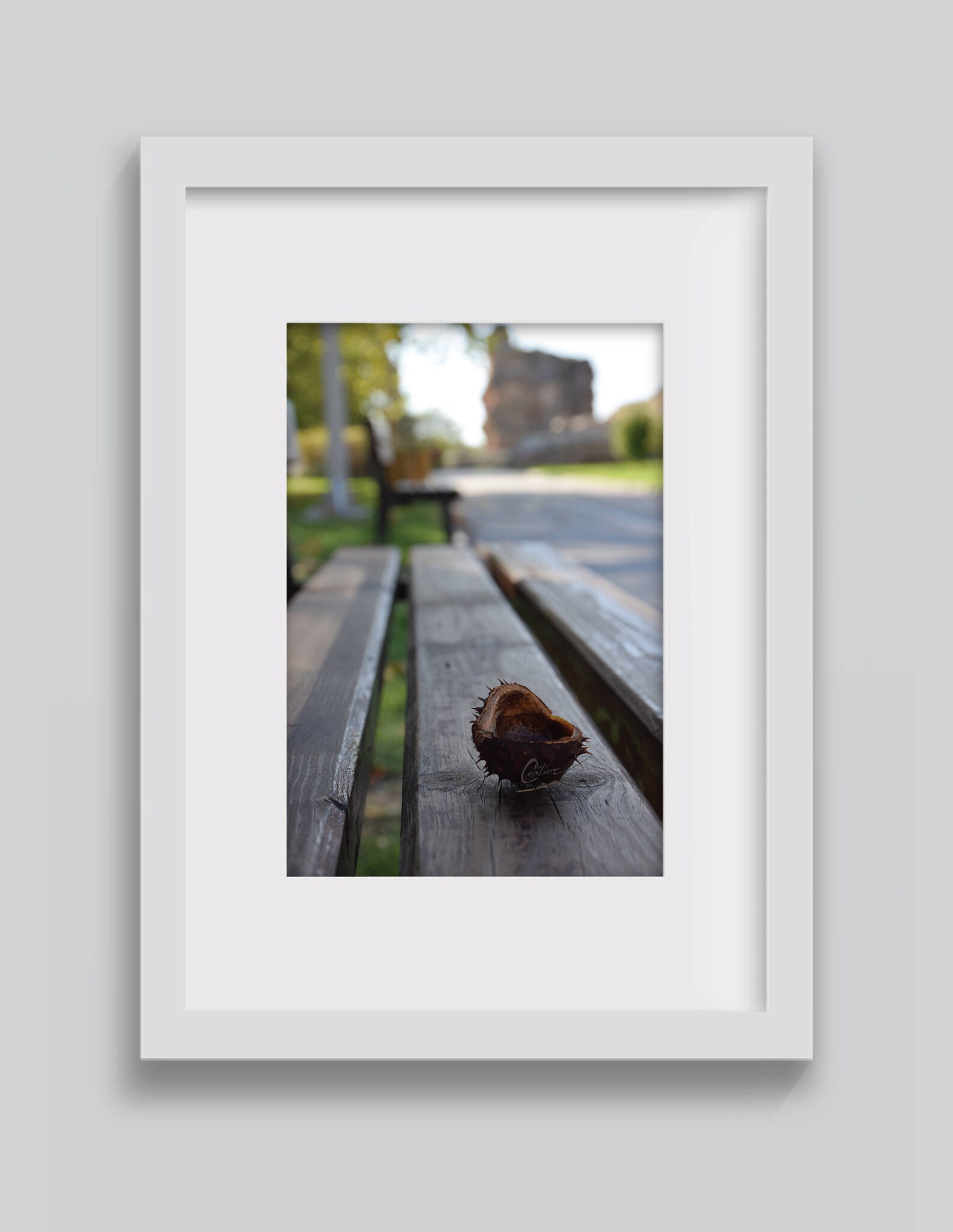 BENCH Perspective Photography /044/ 8 JPG Instant Download - Etsy