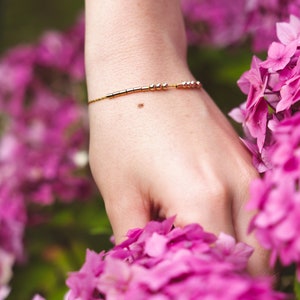 May include: A fine gold bracelet featuring small beads and rectangular segments. The bracelet is displayed on a wrist, set against a backdrop of bright pink hydrangea flowers. The image conveys a sense of elegance and femininity.