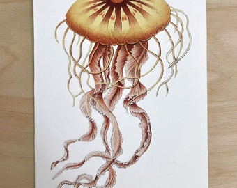 Papercut Jellyfish