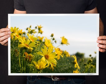 Yellow Flowers Photo: Beach Foliage Art Print, Macro Photography