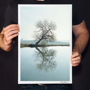 Tree Reflection Photo, Minimalist Art, Winter Pond Home Decor, Wall Art Landscape Photography, Minimalist Reflection Print, &quot;Mirror&quot;