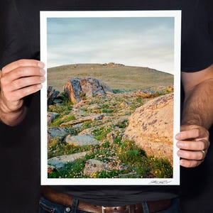 May include: A landscape print featuring a mountain scene with large rocks, green grass, and small wildflowers. The sky is a pale blue. The print is held by a person wearing a black shirt.
