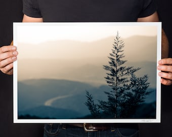 Pine Tree Sunset Photo: California Landscape Wall Art