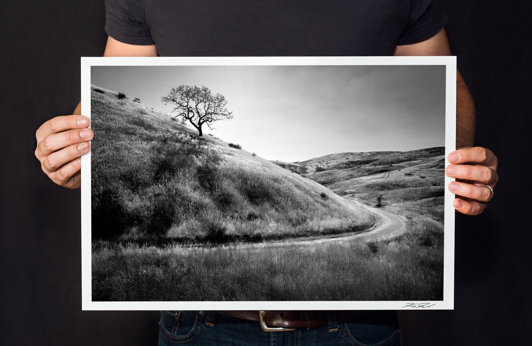 Black and White Photo Wall Art Lone Tree on a Hill Photo Etsy UK