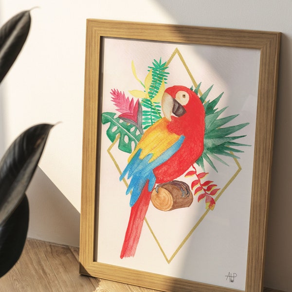 Aquarelle "Perroquet" - Illustration animaux - Parrot watercolor originale | perroquet peinture - parrot painting  - Original Fine Art