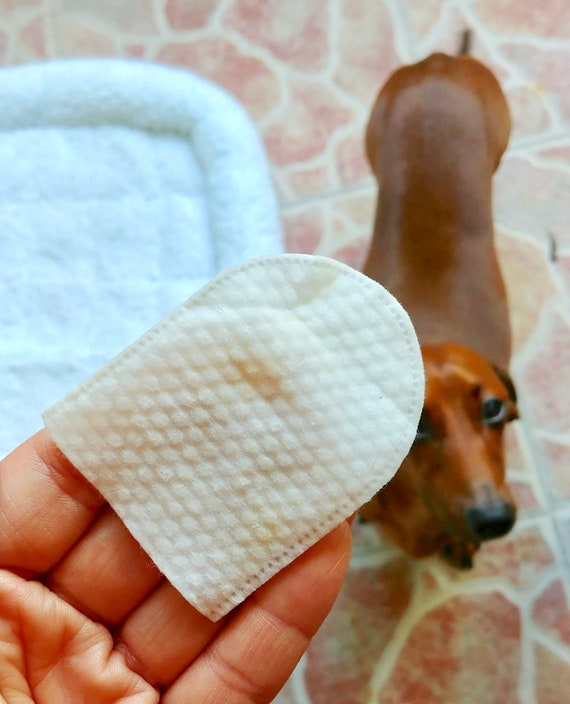 all natural dental wipes for dogs