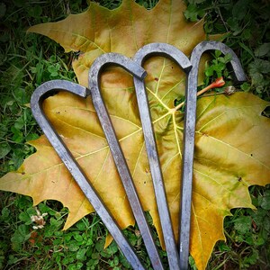 Circus tent stakes hotsell
