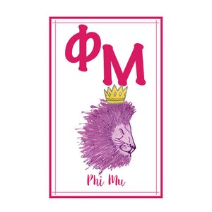 Phi Mu Poster
