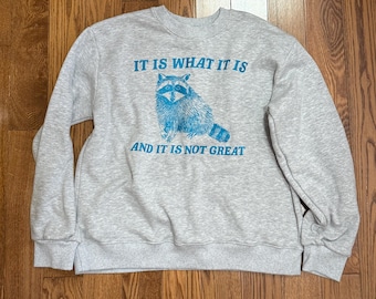 Gray Crewneck Sweatshirt with Blue Raccoon Graphic
