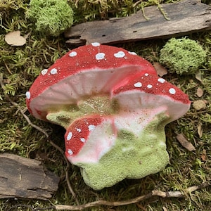 Mushroom bath bomb, mushroom gift, Cottagecore, Goblincore, rainbow inside image 1