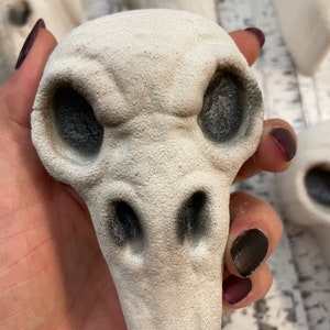 Raven schedel badbom | Edgar Allen Poe cadeau | Mannelijke badbom | Spa-cadeau voor heren