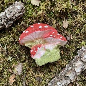 Mushroom bath bomb, mushroom gift, Cottagecore, Goblincore, rainbow inside image 2