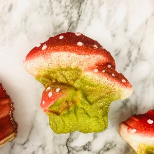 Mushroom bath bomb, mushroom gift, Cottagecore, Goblincore, rainbow inside image 10