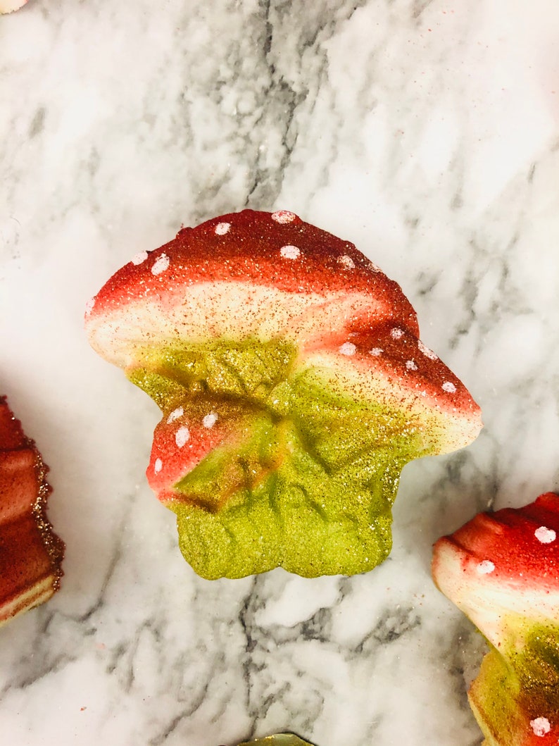 Mushroom bath bomb, mushroom gift, Cottagecore, Goblincore, rainbow inside image 10