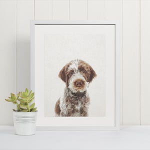 Wire-Haired Griffon Art Print | Watercolor Dog Wall Art
