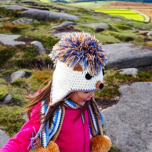 Crochet PATTERN for Hedgehog Hat crochet hat pattern in baby, toddler, child, teen / adult for left-handed and right-handed crocheters image 1