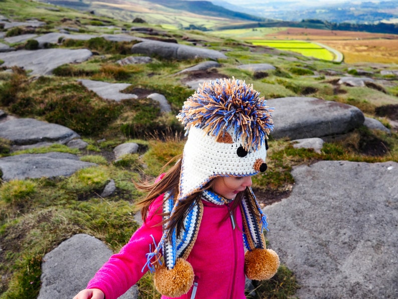 Crochet PATTERN for Hedgehog Hat crochet hat pattern in baby, toddler, child, teen / adult for left-handed and right-handed crocheters image 1