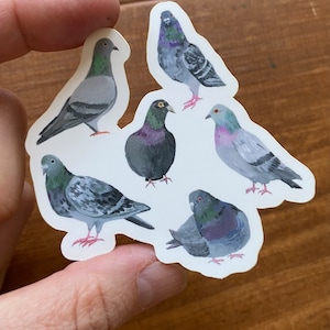 Pigeon Party 3 inch vinyl sticker
