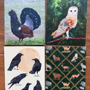 Into the Wild - Lot de 4 cartes postales