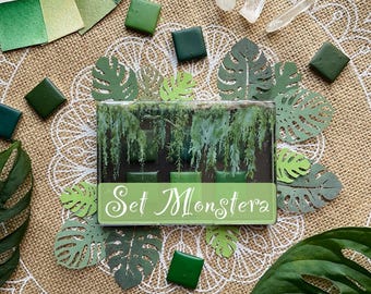 Set Monstera